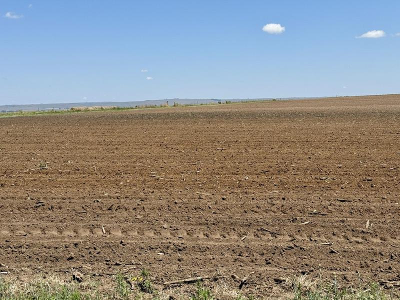 0 Bedroom Property for Sale in Tweeling Free State